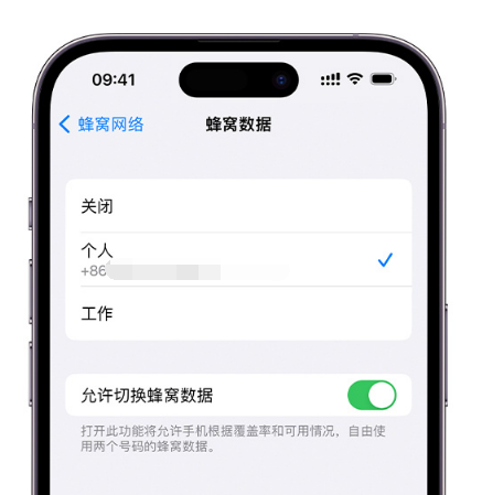 铜梁苹果维修服务分享如何在iPhone上使用双卡 