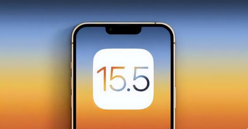 铜梁苹果手机维修分享iOS15.5 RC版升级建议 